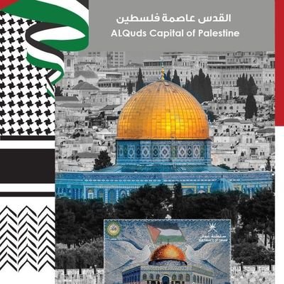 mutasam93's profile picture. 