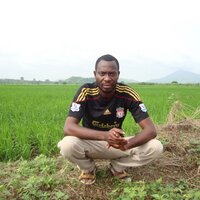 Clement Narh (@clementnarh) 's Twitter Profile