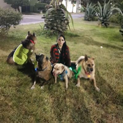 MaciasYarenzi's profile picture. 🐕‍🦺