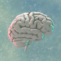 Yale PTSD Stress Lab đź§ (@ptsdstresslab) 's Twitter Profile Photo Yale PTSD Stress Lab đź§ (@ptsdstresslab) 's Twitter Profile Photo