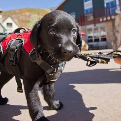 CrabbyWill's profile picture. I like candy.