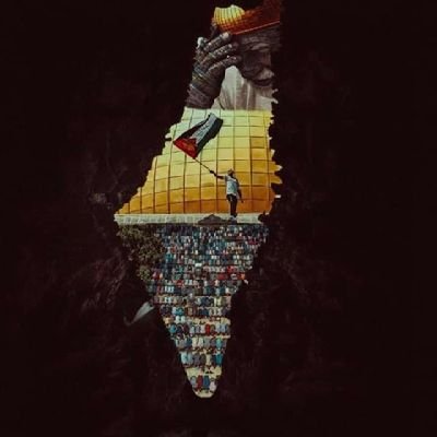 abdualrahmanzid's profile picture. 