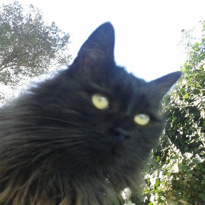 DavidWallace712's profile picture. 