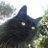 DavidWallace712's profile image