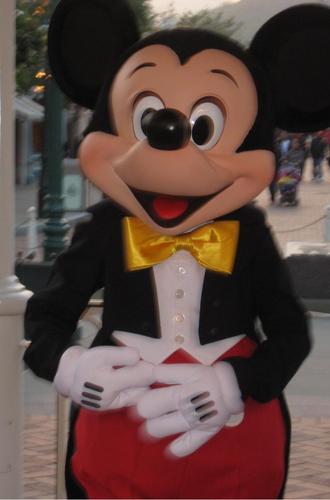 fayl13's profile picture. 