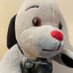 ayame_ricedog (@aricedog) Twitter profile photo ayame_ricedog (@aricedog) Twitter profile photo