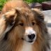 B.A.RNers (@wildoakmaggie) Twitter profile photo B.A.RNers (@wildoakmaggie) Twitter profile photo