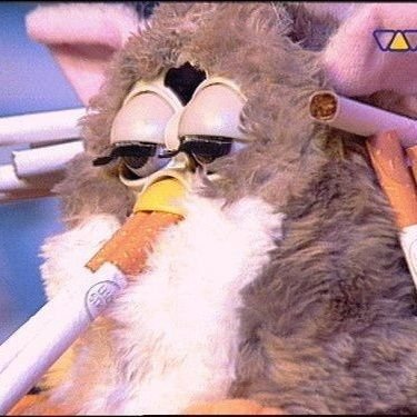 dishsoap1234's profile picture. 