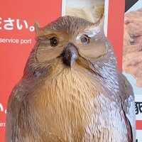 旭山動物園東門レストラン『カムイチカプ』 (@kamuy_cikap) 's Twitter Profile Photo 旭山動物園東門レストラン『カムイチカプ』 (@kamuy_cikap) 's Twitter Profile Photo