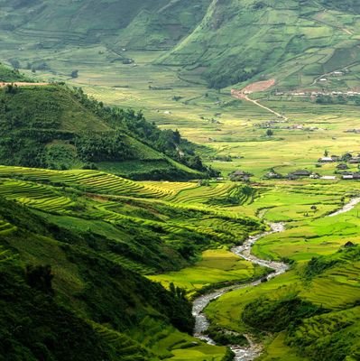 Henry96969258's profile picture. fight for freedom🕯️