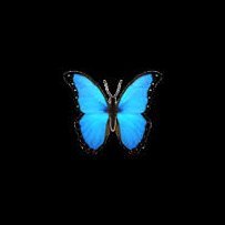 I'm proud ✊ No Dms🚫 I'm strength I DON'T SUPPORT LGBT
I'm Love💏 I'm faith🌟 I'm an angel😇
i support broken people and help with self harm,suicide,racism,❤