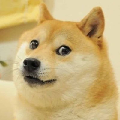 dogemillionjap1's profile picture. 