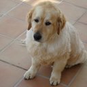 sheila gideon - @DaleGideon - Twitter