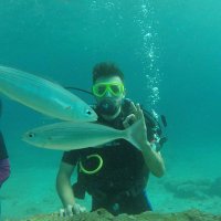 Yavuzhaan (@yavuzhaan2) 's Twitter Profile