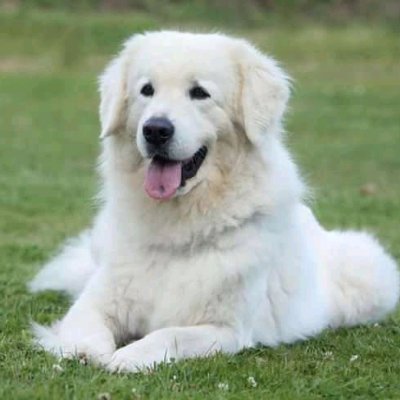 AlexandraMecker's profile picture. Allemand