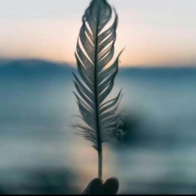 Sharmi52263165's profile picture. Fantasy girl 😉🥰