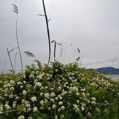 128c7726efed46e's profile picture. 민심은 상식이다
꼭 기억해라