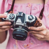 سيده القصر (@h_alerin) 's Twitter Profile Photo