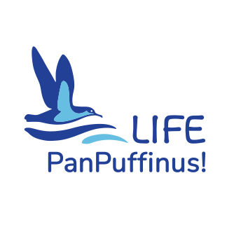 LIFE PanPuffinus!