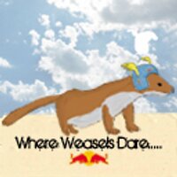 WhereWeaselsDare (@flugtagweasel) 's Twitter Profile