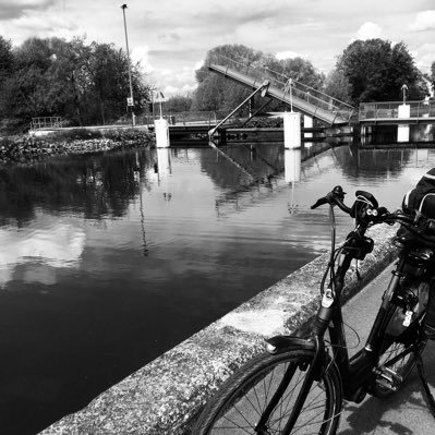 wim21143220's profile picture. Go whit the flow