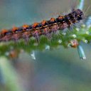 Brad Robb - @moodycamera - Twitter