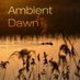 Ambient Dawn (@dawnambient) Twitter profile photo Ambient Dawn (@dawnambient) Twitter profile photo