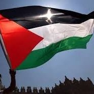 momoimo3's profile picture. 