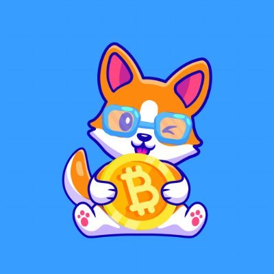 Chibi Inu Chibinutoken Twitter Chibi Inu Chibinutoken Twitter