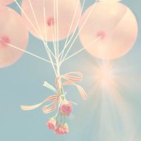 T♡初回プロカ必読 (@t18145655) 's Twitter Profile
