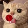 DDY71837067's profile picture. 