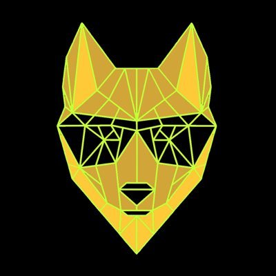 DingoToken Profile Picture