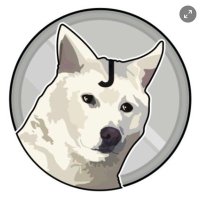 JIN DOGE (@bskim06020613) 's Twitter Profile