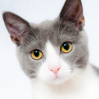 JackClre2's profile picture. Respecter le code de la route.