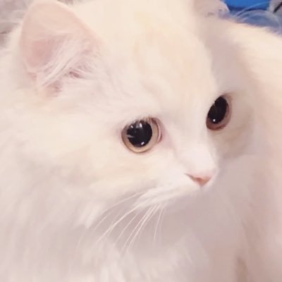 れいなさんのプロフィール画像