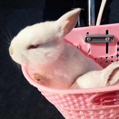 114xgj's profile picture. 