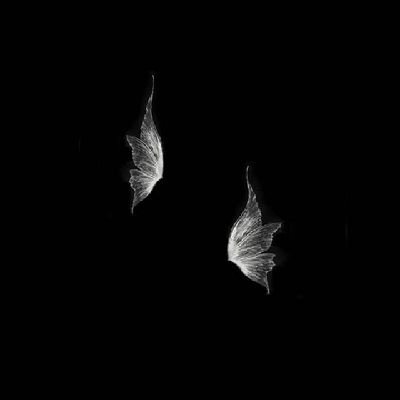 oneonlyell's profile picture. just an ordinary human