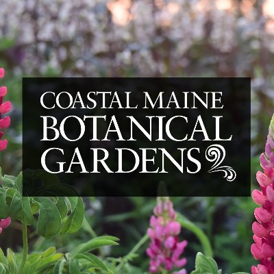 Connecting people, plants & nature through #horticulture, education & research on 300+ coastal acres in #MidCoast #Maine  🌿🦋🌼🐝🌲 #mainegardens