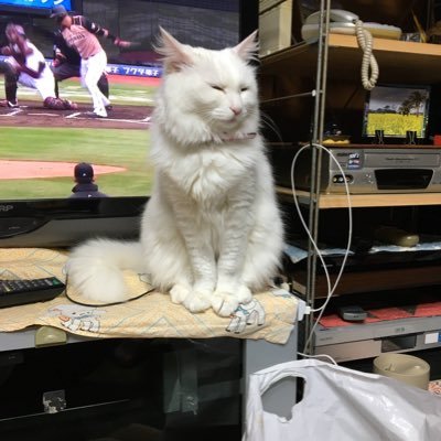 pU4xBUA9tITNMur's profile picture. 旭丘73期→阪大法国共1-2🇨🇳 ⛵️ #春から阪大生