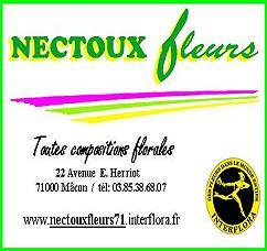 Situé sur une artère principale de Macon,Nectoux fleurs est incontournable lorsqu'on offre des fleurs.Avec INTERFLORA,nous livrons dans le monde entier.