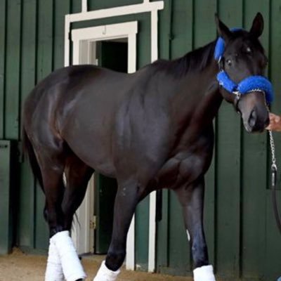 Whats up 2021 Kentucky Derby Winner Bob Baffert is my father.