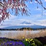 0ty38733394457t's profile picture. 埼玉県