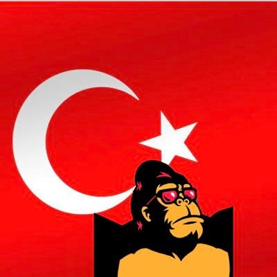 fegtoken_tr's profile picture. Feg Token Turkey