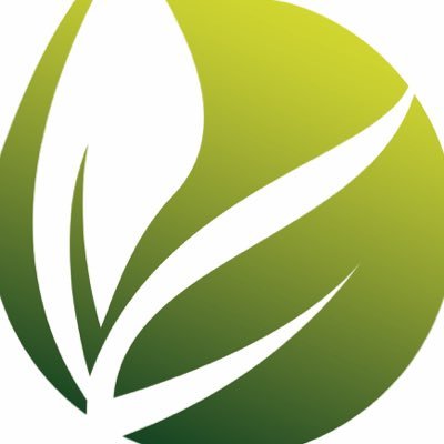 PerlustroLtd's profile picture. Integrity Is Everything