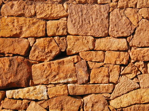 barluni's profile picture. 