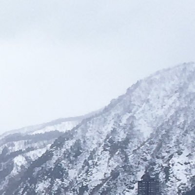 SKSKVLX's profile picture. 場合によってDMを利用することがあります。何卒。