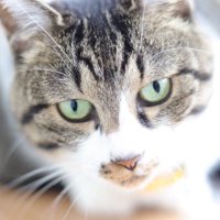 Snow (@snowandparasa) 's Twitter Profile Photo Snow (@snowandparasa) 's Twitter Profile Photo