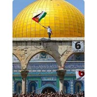 abubakar (@abus734) 's Twitter Profile