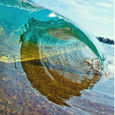 PinkSunrise10's profile picture. 