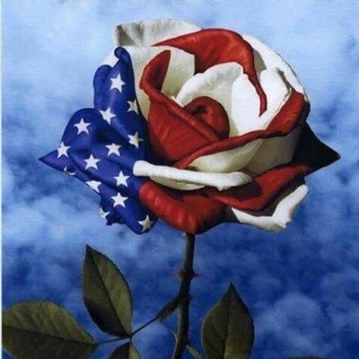 GemmaTorrent11's profile picture. Peace&Balance. Trump2020 #KAG Liberty+Justice=Freedom. Educate yourselves! 🇺🇸 #FreedomFrenzy @freedom_gal @realDonaldJTrump #MAGA